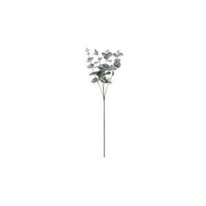 Eucalyptus Branch, 60 cm