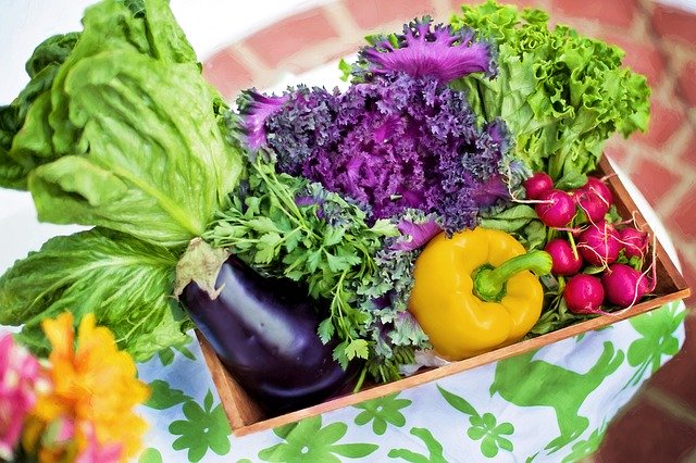 Healthy Food for Kids - Vegetable