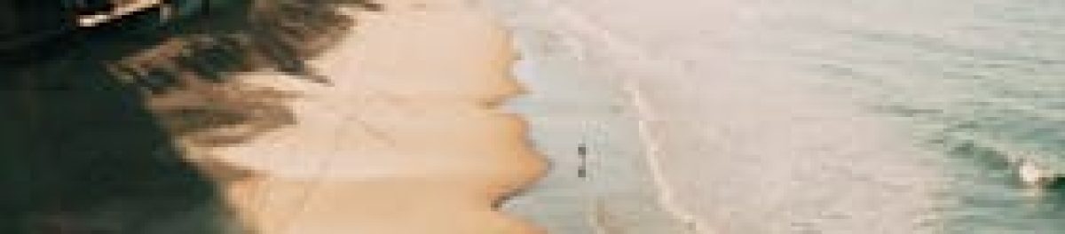 image_1736629562_0 image_1736629562_0